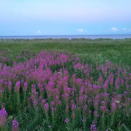 Ferienhaus Modern Retreat In Marielyst - By Traum *