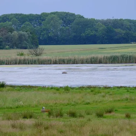 Ferienhaus Modern Retreat In Marielyst - By Traum *